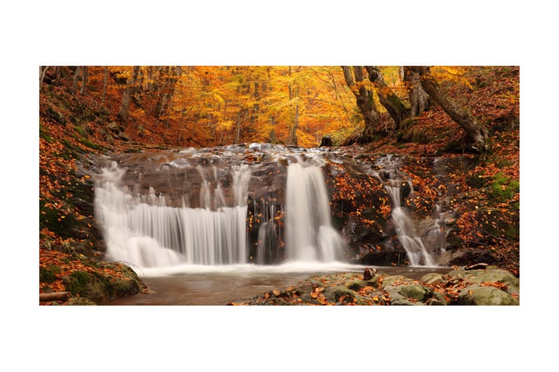 Fototapet XXL Autumn Landscape Waterfall In Forest 550x270 - Artgeist sp. z o. o. - Tapeter vardagsrum - Fototapet - Kökstapeter - Tapeter sovrum & sovrumstapet