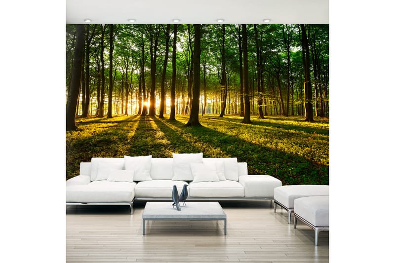 Fototapet XXL Mystical Morning II 500x280 - Artgeist sp. z o. o. - Tapeter vardagsrum - Tapeter sovrum & sovrumstapet - Kökstapeter - Fototapet Fototapet XXL Mystical Morning II 500x280 - Artgeist sp. z o. o. - Tapeter vardagsrum - Tapeter sovrum & sovrumstapet - Kökstapeter - Fototapet
