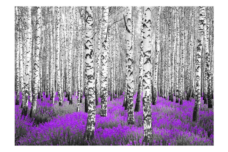 Fototapet Purple Asylum 200x140 - Artgeist sp. z o. o. - Tapeter vardagsrum - Fototapet - Kökstapeter - Tapeter sovrum & sovrumstapet