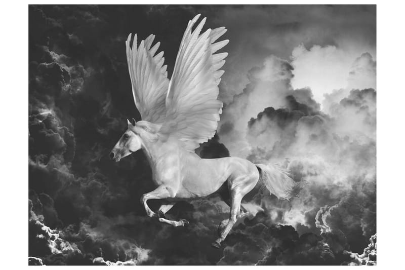 Fototapet Pegasus På Väg Till Mount Olympus 300x231 - Artgeist sp. z o. o. - Tapeter vardagsrum - Fototapet - Kökstapeter - Tapeter sovrum & sovrumstapet