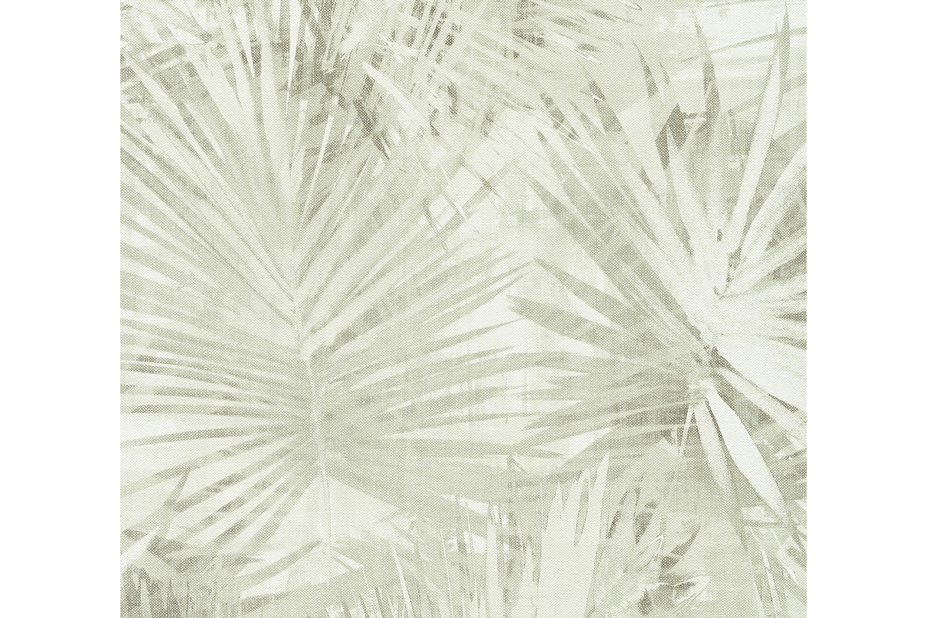 Palm tree Tapet Hygge Ovävd Grön Cream AS Creation