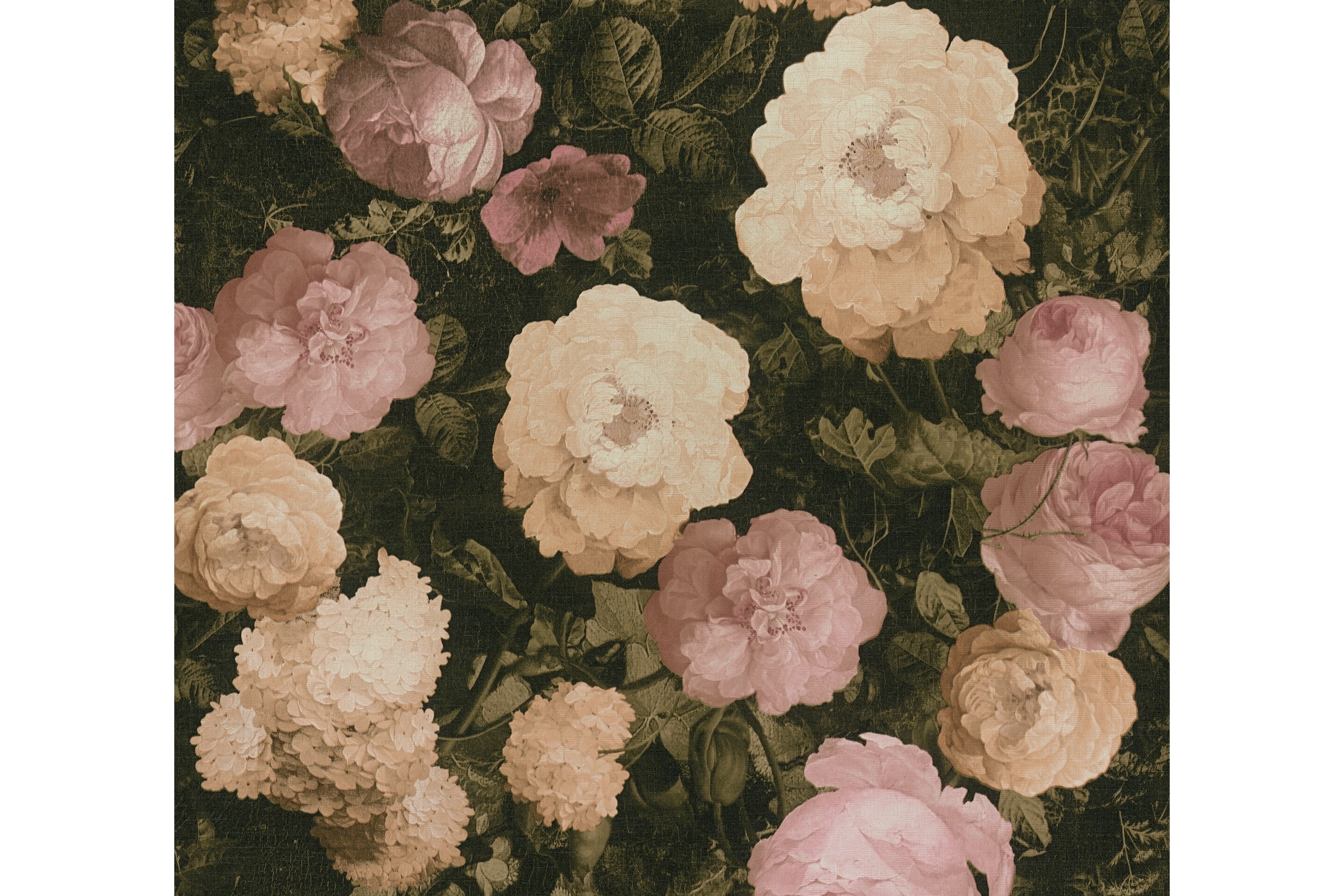 Rosas Tapet History of Art Ovävd Rosa AS Creation