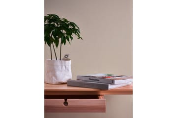 Slät Tapet Trendwall Ovävd Beige - AS Creation - Inredning - Tapet - Mönstrad tapet