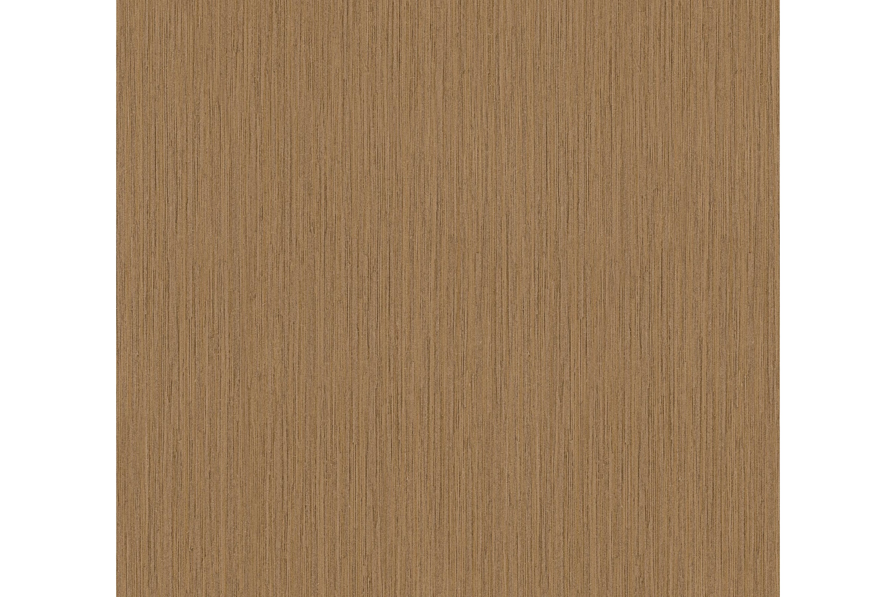 Slät Tapet Giungla by Versace Ovävd AS Creation