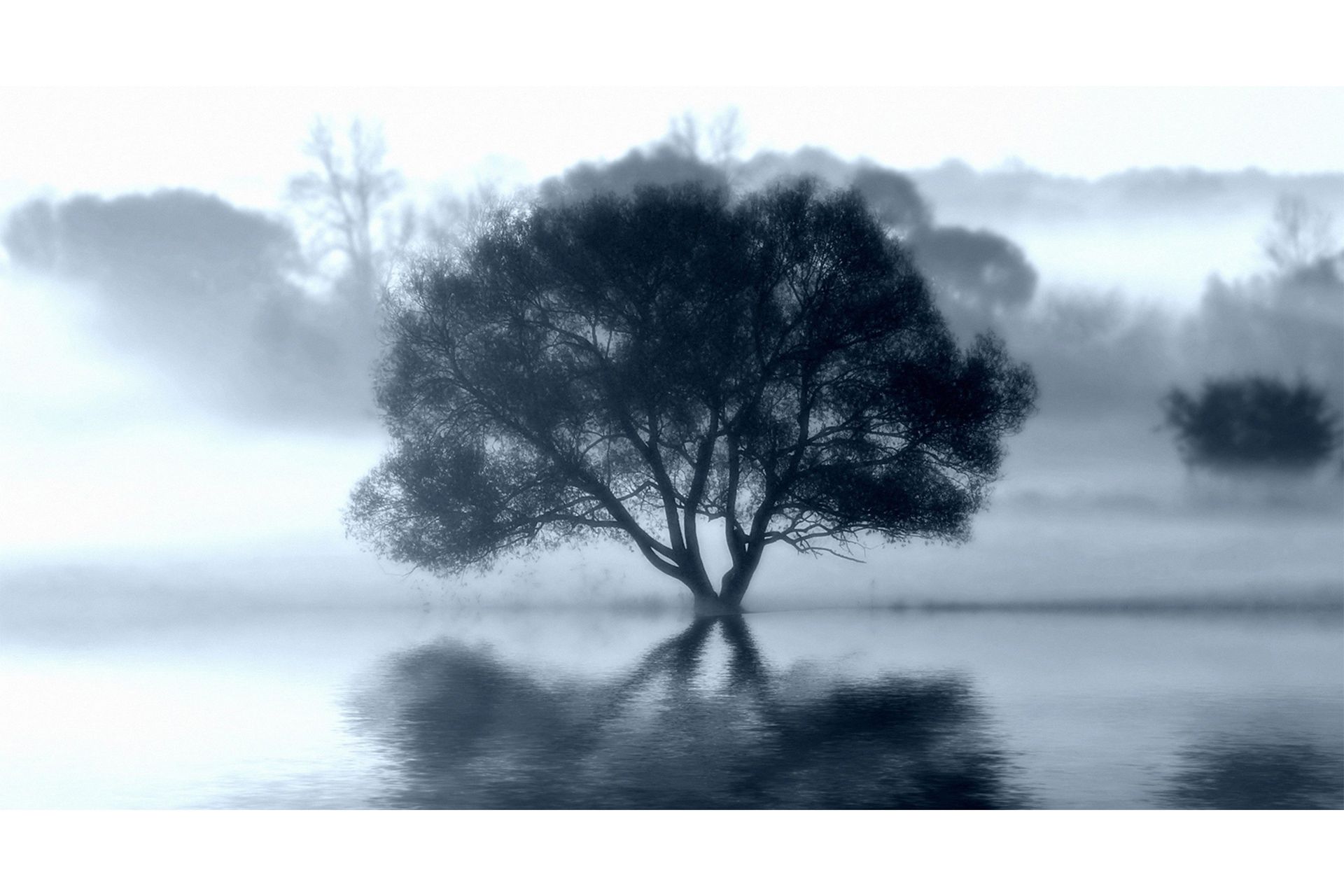 Canvas Sprint Tree - 70x130cm