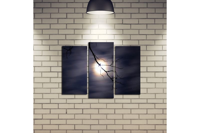 Canvasmålning Dekorativ 3 Delar - Flerfärgad - Inredning - Tavlor & posters - Canvastavla