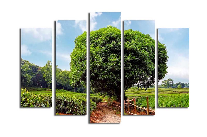 Canvasmålning Dekorativ 5 Delar - Flerfärgad - Inredning - Tavlor & posters - Canvastavla