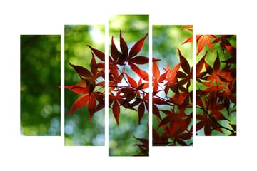 Canvasmålning Dekorativ 5 Delar - Flerfärgad - Inredning - Tavlor & posters - Canvastavla