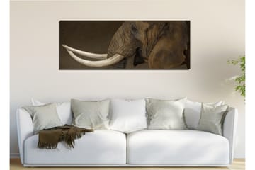 Canvasmålning Dekorativ - Flerfärgad - Inredning - Tavlor & posters - Canvastavla