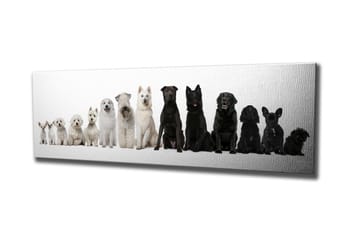 Canvasmålning Dekorativ - Flerfärgad - Inredning - Tavlor & posters - Canvastavla
