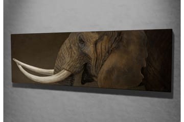 Canvasmålning Dekorativ - Flerfärgad - Inredning - Tavlor & posters - Canvastavla