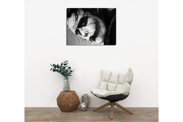 Canvasmålning Dekorativ - Flerfärgad - Inredning - Tavlor & posters - Canvastavla