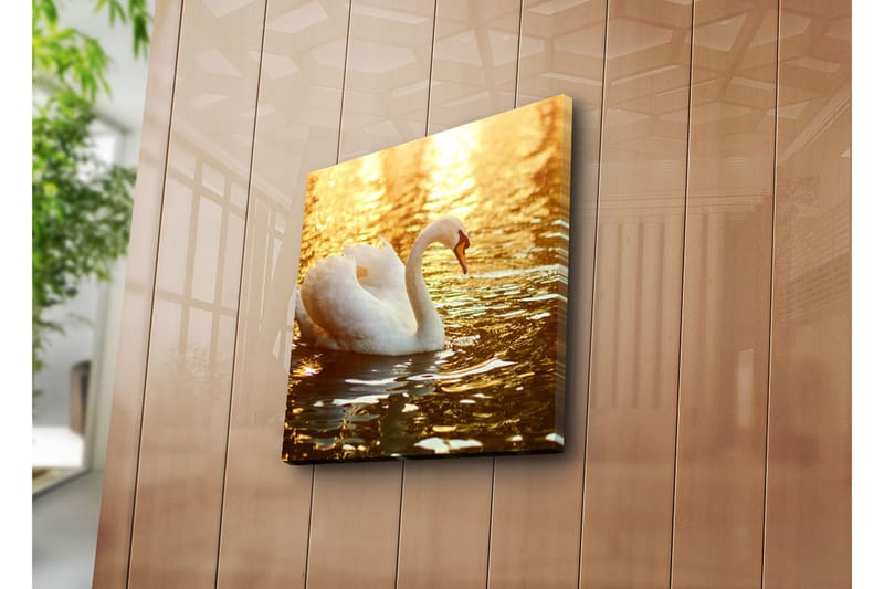 Canvasmålning Dekorativ - Flerfärgad - Inredning - Tavlor & posters - Canvastavla
