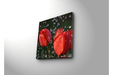 Canvasmålning Dekorativ - Flerfärgad - Inredning - Tavlor & posters - Canvastavla
