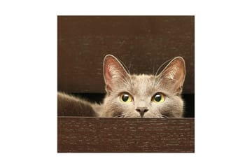 Canvasmålning Dekorativ - Flerfärgad - Inredning - Tavlor & posters - Canvastavla