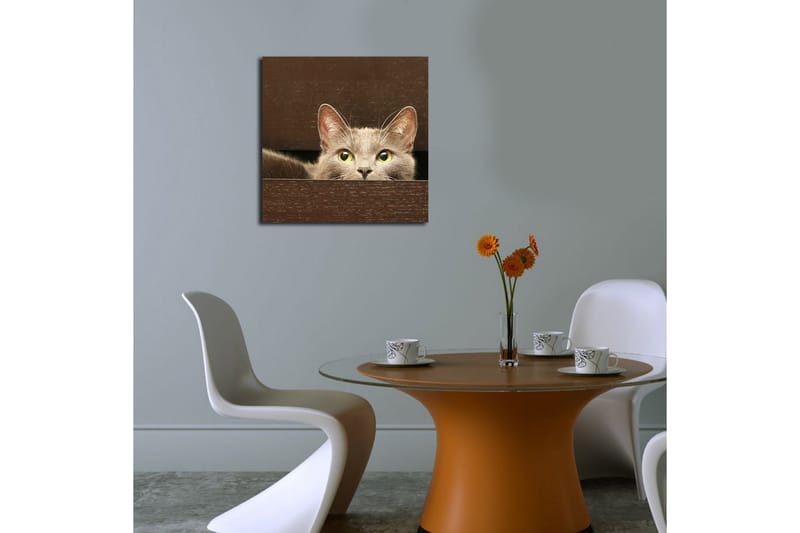 Canvasmålning Dekorativ - Flerfärgad - Inredning - Tavlor & posters - Canvastavla