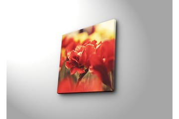 Canvasmålning Dekorativ - Flerfärgad - Inredning - Tavlor & posters - Canvastavla