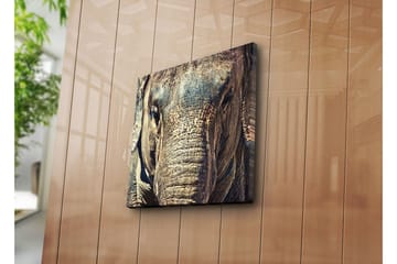 Canvasmålning Dekorativ - Flerfärgad - Inredning - Tavlor & posters - Canvastavla