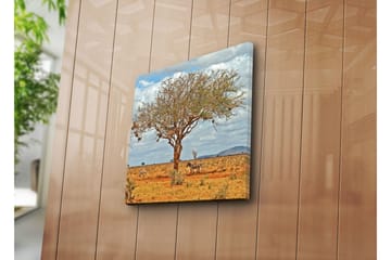 Canvasmålning Dekorativ - Flerfärgad - Inredning - Tavlor & posters - Canvastavla