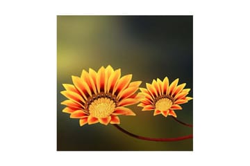 Canvasmålning Dekorativ - Flerfärgad - Inredning - Tavlor & posters - Canvastavla