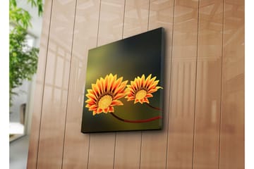 Canvasmålning Dekorativ - Flerfärgad - Inredning - Tavlor & posters - Canvastavla