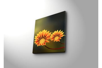 Canvasmålning Dekorativ - Flerfärgad - Inredning - Tavlor & posters - Canvastavla