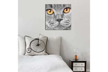Canvasmålning Dekorativ - Flerfärgad - Inredning - Tavlor & posters - Canvastavla