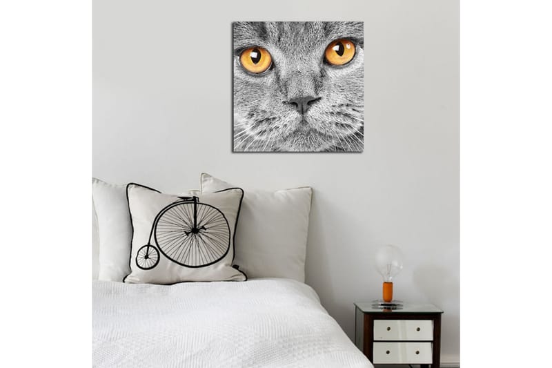 Canvasmålning Dekorativ - Flerfärgad - Inredning - Tavlor & posters - Canvastavla