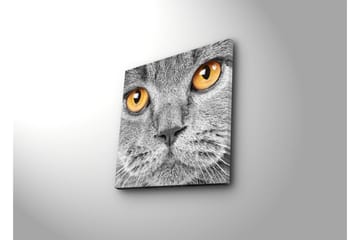 Canvasmålning Dekorativ - Flerfärgad - Inredning - Tavlor & posters - Canvastavla