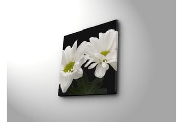 Canvasmålning Dekorativ - Flerfärgad - Inredning - Tavlor & posters - Canvastavla