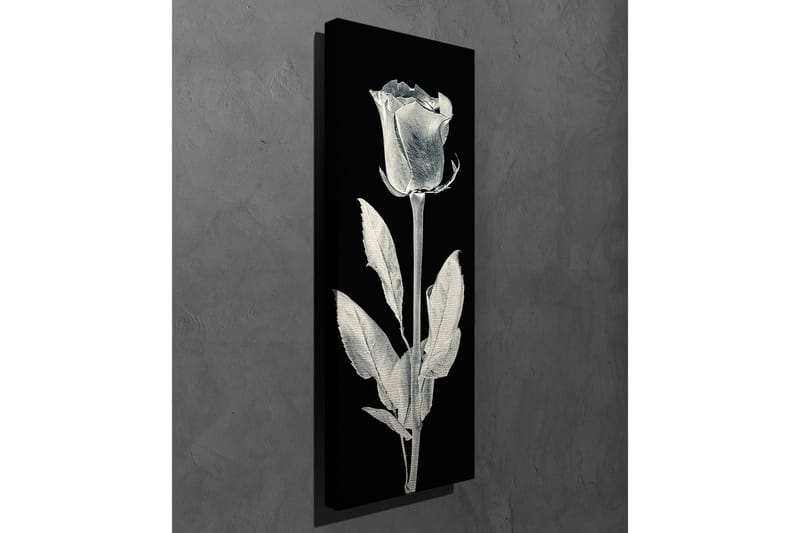 Canvasmålning Dekorativ - Flerfärgad - Inredning - Tavlor & posters - Canvastavla