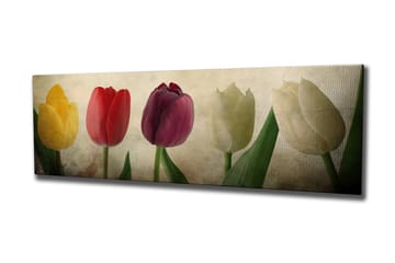 Canvasmålning Dekorativ - Flerfärgad - Inredning - Tavlor & posters - Canvastavla