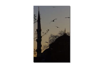 Canvasmålning Dekorativ - Flerfärgad - Inredning - Tavlor & posters - Canvastavla