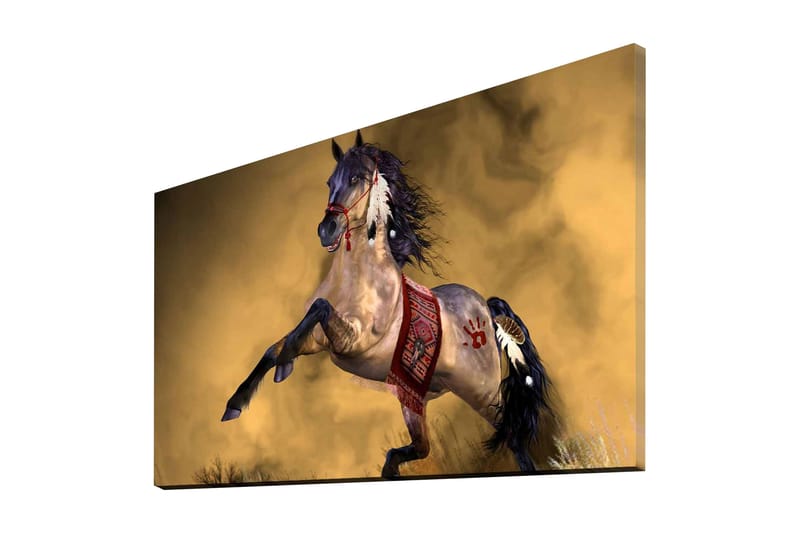 Canvasmålning Dekorativ - Flerfärgad - Inredning - Tavlor & posters - Canvastavla