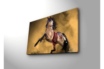 Canvasmålning Dekorativ - Flerfärgad - Inredning - Tavlor & posters - Canvastavla