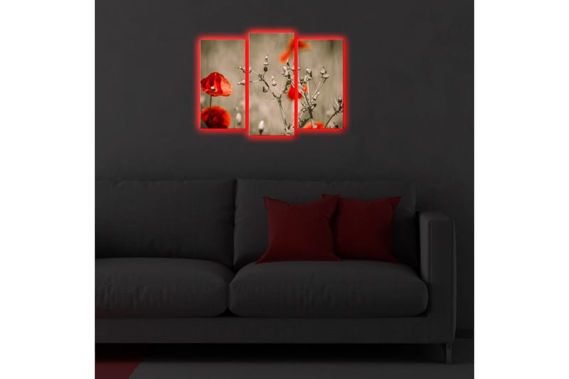 Canvasmålning Dekorativ LED-belysning 3 Delar - Flerfärgad - Inredning - Tavlor & posters - Canvastavla