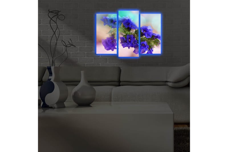 Canvasmålning Dekorativ LED-belysning 3 Delar - Flerfärgad - Canvastavla
