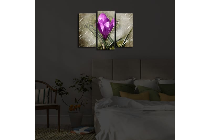 Canvasmålning Dekorativ LED-belysning 3 Delar - Flerfärgad - Inredning - Tavlor & posters - Canvastavla