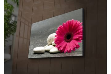 Canvasmålning Dekorativ LED-belysning - Flerfärgad - Inredning - Tavlor & posters - Canvastavla
