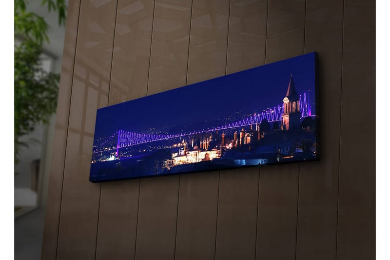 Canvasmålning Dekorativ LED-belysning - Flerfärgad - Inredning - Tavlor & posters - Canvastavla
