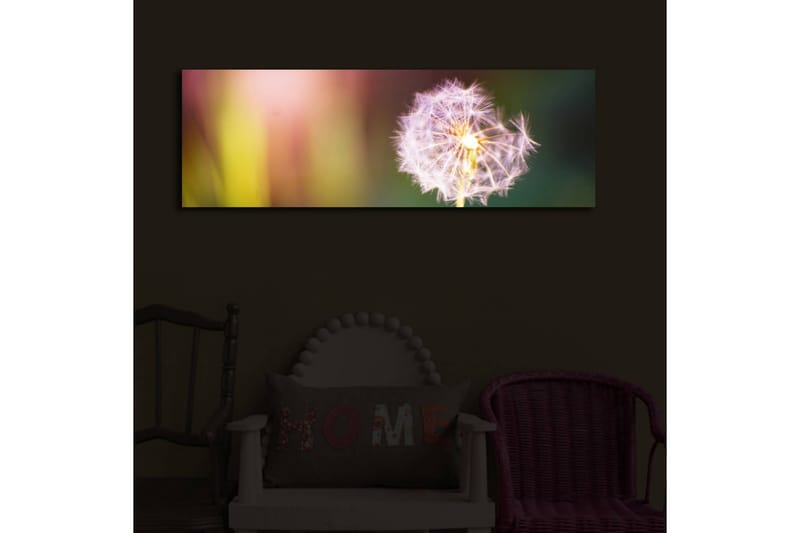 Canvasmålning Dekorativ LED-belysning - Flerfärgad - Inredning - Tavlor & posters - Canvastavla