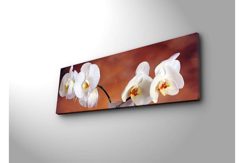 Canvasmålning Dekorativ LED-belysning - Flerfärgad - Inredning - Tavlor & posters - Canvastavla