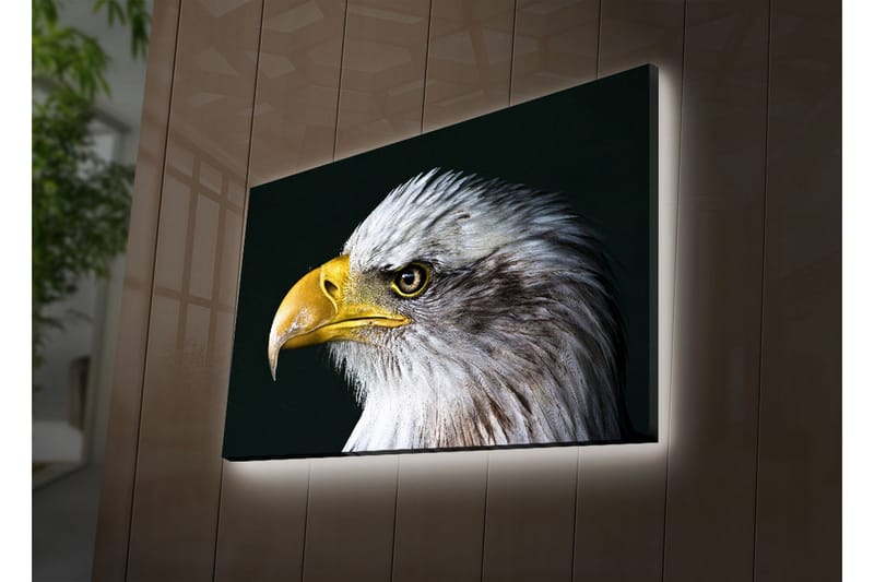 Canvasmålning Dekorativ LED-belysning - Flerfärgad - Inredning - Tavlor & posters - Canvastavla