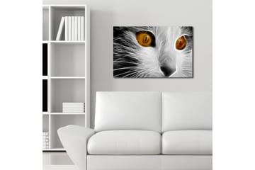 Canvasmålning Dekorativ LED-belysning - Flerfärgad - Inredning - Tavlor & posters - Canvastavla