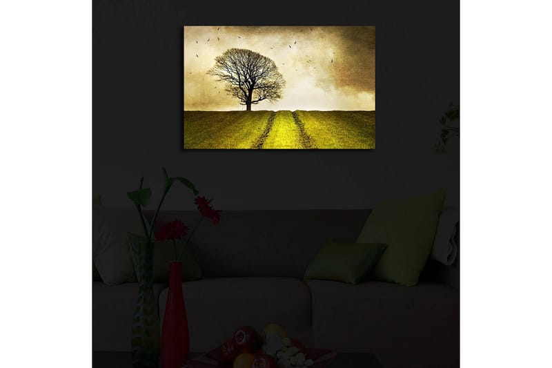 Canvasmålning Dekorativ LED-belysning - Flerfärgad - Inredning - Tavlor & posters - Canvastavla