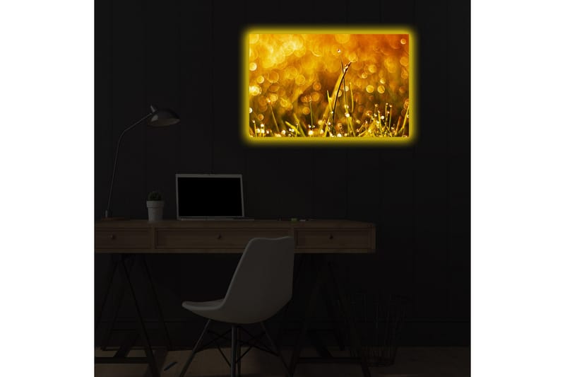 Canvasmålning Dekorativ LED-belysning - Flerfärgad - Inredning - Tavlor & posters - Canvastavla