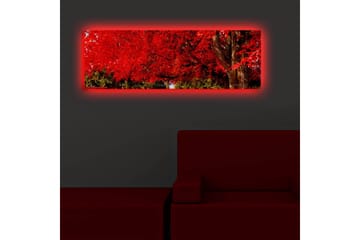 Canvasmålning Dekorativ LED-belysning - Flerfärgad - Inredning - Tavlor & posters - Canvastavla