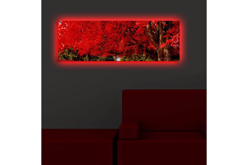 Canvasmålning Dekorativ LED-belysning - Flerfärgad - Inredning - Tavlor & posters - Canvastavla
