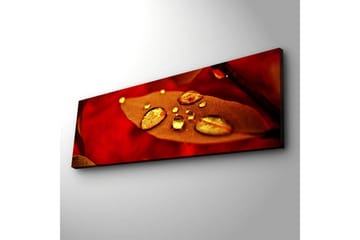 Canvasmålning Dekorativ LED-belysning - Flerfärgad - Inredning - Tavlor & posters - Canvastavla
