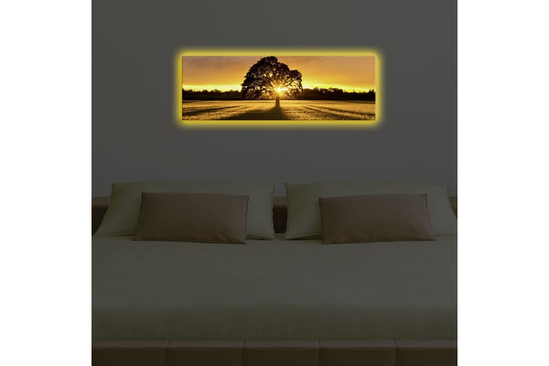 Canvasmålning Dekorativ LED-belysning - Flerfärgad - Inredning - Tavlor & posters - Canvastavla